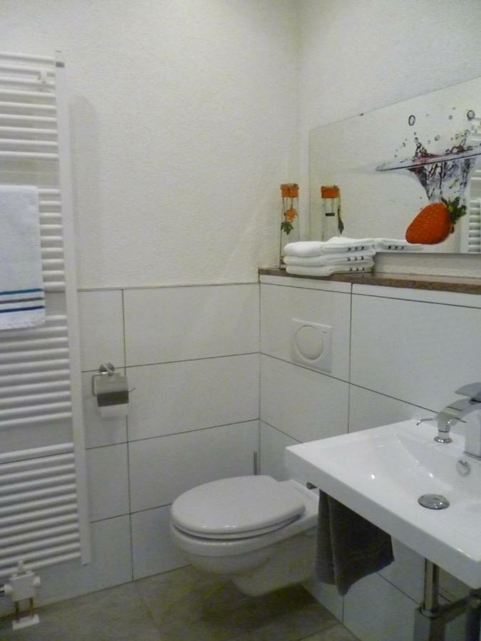 Moderne Wohnung In Barockem Altstadthaus Nahe Altstadt Und Radweg Blieskastel Extérieur photo