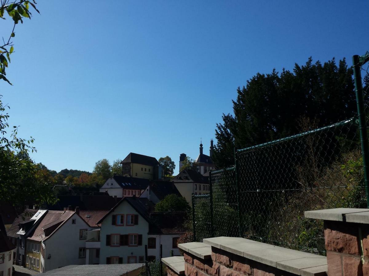Moderne Wohnung In Barockem Altstadthaus Nahe Altstadt Und Radweg Blieskastel Extérieur photo