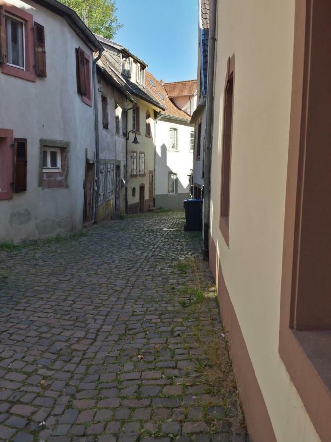 Moderne Wohnung In Barockem Altstadthaus Nahe Altstadt Und Radweg Blieskastel Extérieur photo