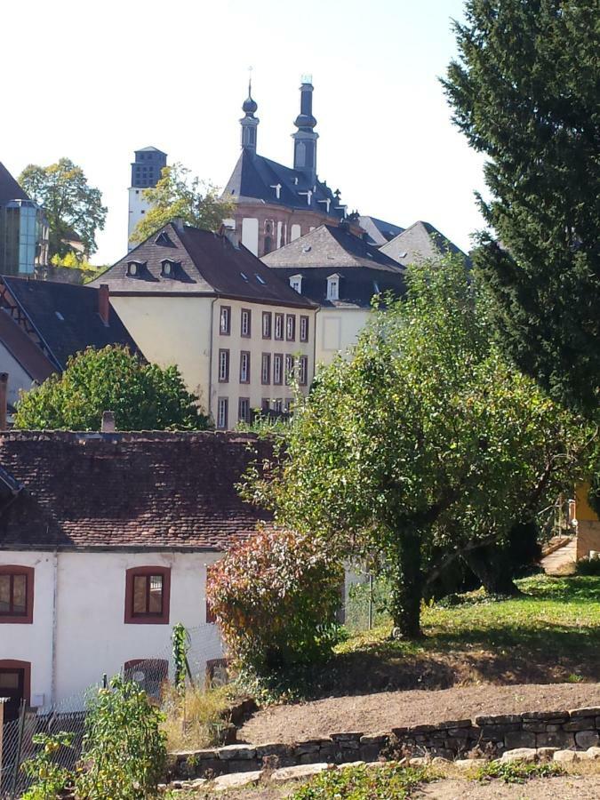Moderne Wohnung In Barockem Altstadthaus Nahe Altstadt Und Radweg Blieskastel Extérieur photo